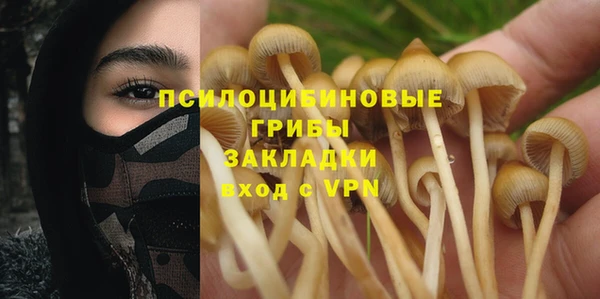 ПСИЛОЦИБИНОВЫЕ ГРИБЫ Волоколамск