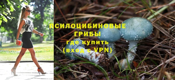 бошки Волосово